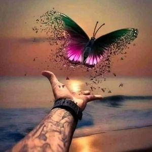 Meet your Posher, Diazmin